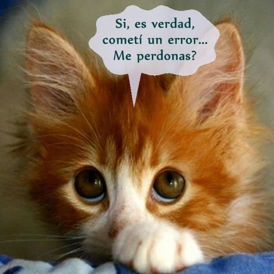 ankmx677's tweet photo. yo después de recontrahipermega kagarla https://t.co/GzkeM6Uczu