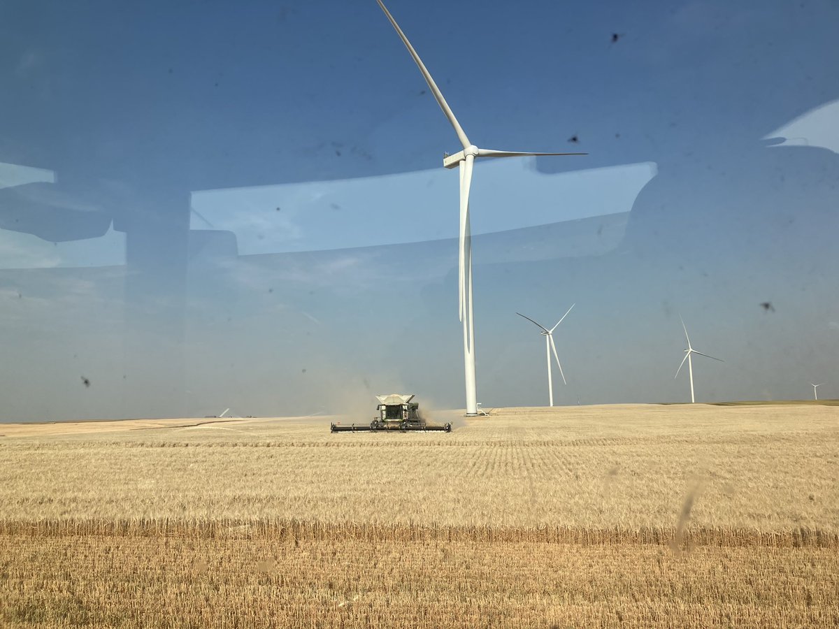 GrietoMuller's tweet photo. Dryland barley https://t.co/AZelt2P2sO
