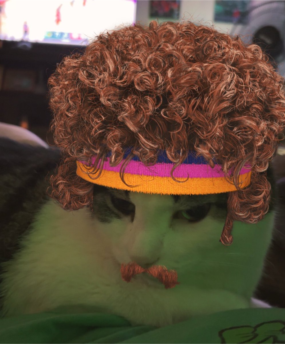shellyshell2u's tweet photo. Curly πΊ #catselfie #cats_of_instagram #catsofinstagram #catstagram #cats_of_world #catsoftheday #instacat #catsofig #catsoftwitter #catsofbluesky #cat #cats #snapchat #curlythecat https://t.co/M2tcUQzBYI