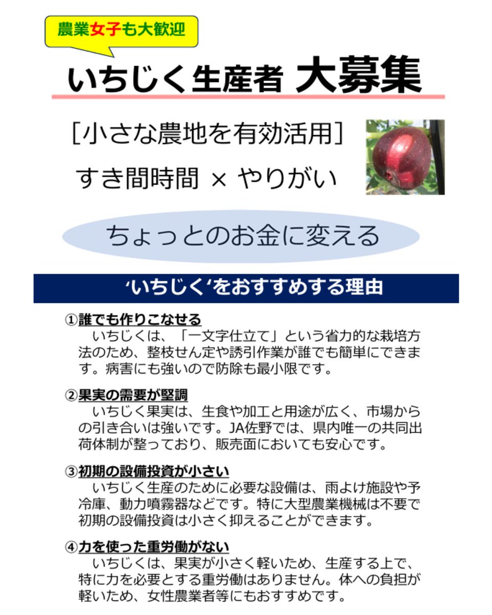 ja_sano's tweet photo. いちじく圃場(ほじょう)見学会を開催します！
✅ 果樹栽培に興味がある方
✅ 新しい品目に挑戦してみたい方
まずは見学会で、いちじく栽培の魅力に触れてみませんか？
詳細は、添付のチラシをご覧ください♪

【お問い合わせ】
JA佐野 園芸課
📞0283-23-9992

#JA佐野 #イチジク #果樹栽培 #新規就農 https://t.co/2N08qME7cK