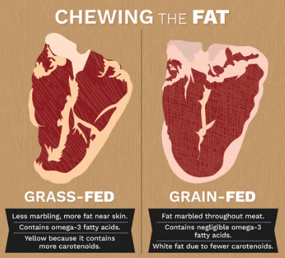 KristenJakobitz's tweet photo. Is grass-fed really worth the extra buck? Grain-fed beef is tender and higher in total fat, but grass-fed beef packs up to 5x more omega-3 fatty acids and significantly higher levels of conjugated linoleic acid (CLA) - a natural fat-burner and immune booster.
#GrassFedBeef #HealthyFats #NutritionOver40