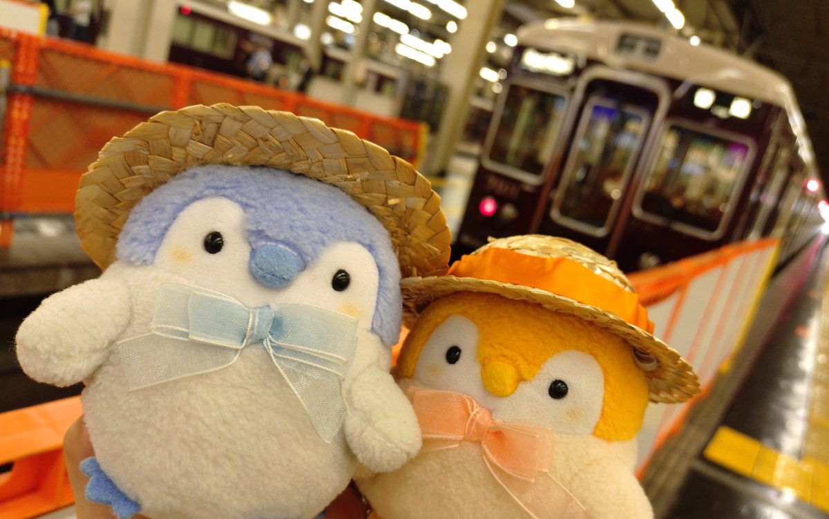 sumikkoupenchan's tweet photo. 先日の大阪の思い出📸✨
久しぶりに阪急電車に乗れてうれしかったね🐧🐧🍀︎
美味しいものたくさんたびたなぁ😋

#コウペンちゃん https://t.co/dQviKKO50O