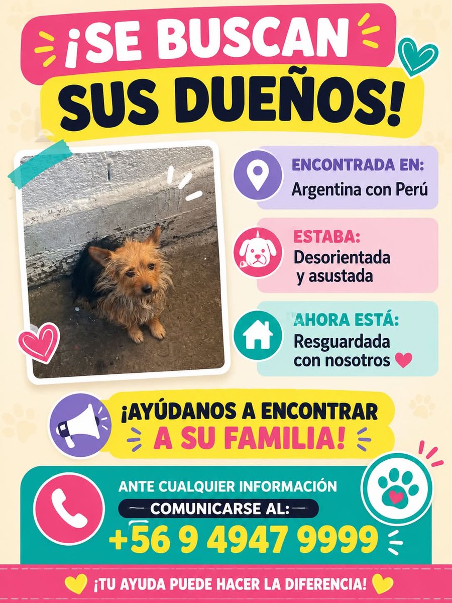 eltuitdemarsh's tweet photo. ¿Ayudamos difundiendo a esta perrita para que se reencuentre con su familia?
#LaSerena https://t.co/Yspk8o0aEl