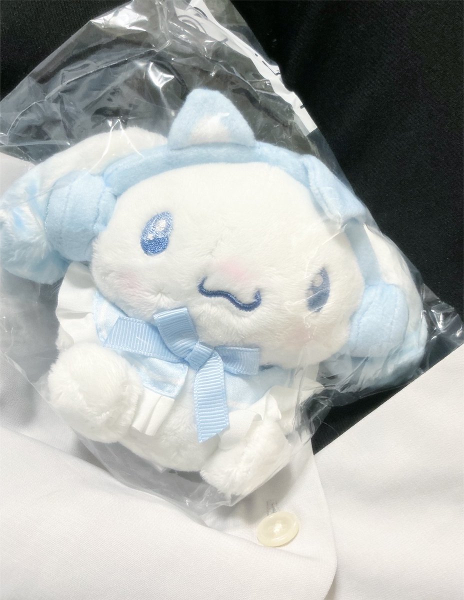 PoNG_7563's tweet photo. シナモンの一番くじあったから1度だけ🫶

マスコット当たったん熱すぎる！！！ https://t.co/tMEMD21Aiz