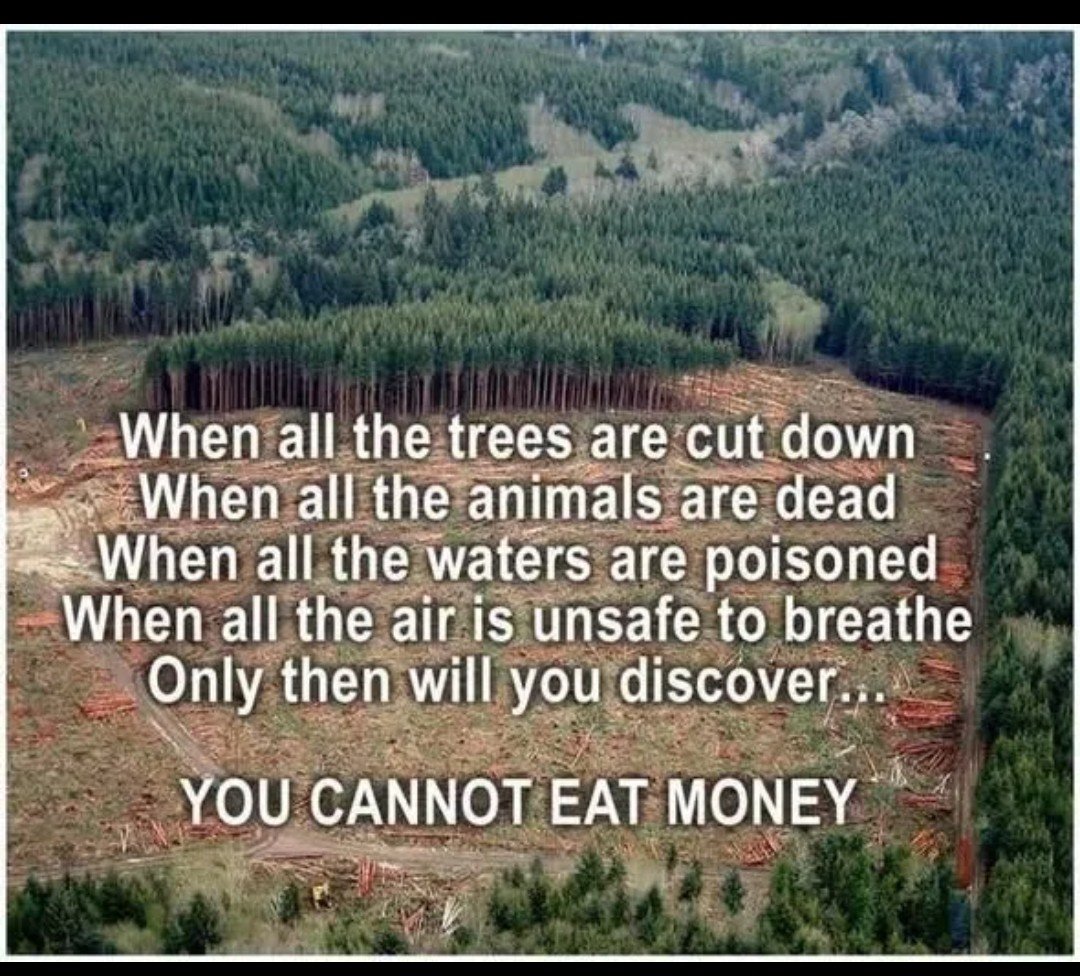 Tarasworld21's tweet photo. @BoughRuth Every aspect of our lives is at higher risk under Trump, the economy, inflation, forever wars, healthcare, voting rights, human rights, and The ENVIRONMENT. Everyone knows voting red will be very bad for all of these, but if you care about having a healthy Earth, #VoteBlue https://t.co/yb1GTfKzOX