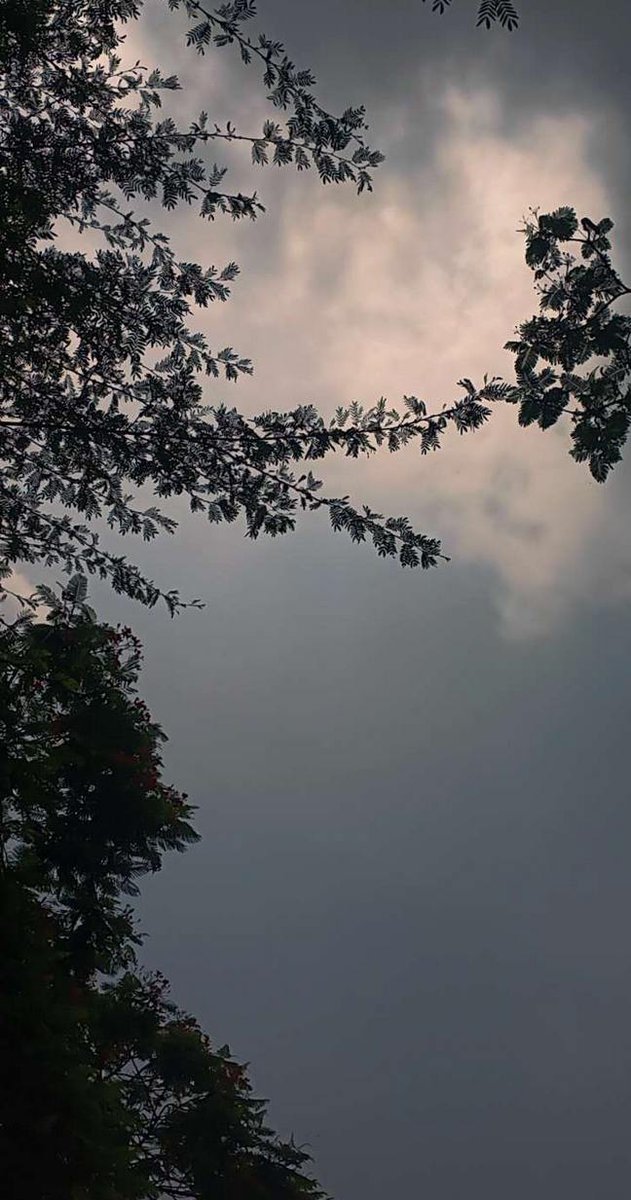 Piiphezxd's tweet photo. You don't always need a plan sometimes you just need to breathe trust and let go (Chiêu Q. Quynh) https://t.co/QF5h1RJAWw