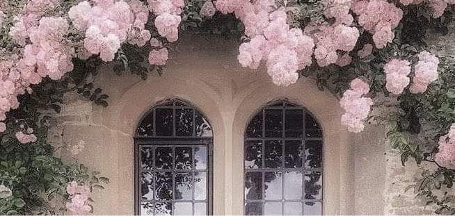 eudh305's tweet photo. #وش_يحتاج_خاطرك

قلِق من البقَاء ، خائِف من الذهَاب🌸💕 https://t.co/AE2MDcasxQ