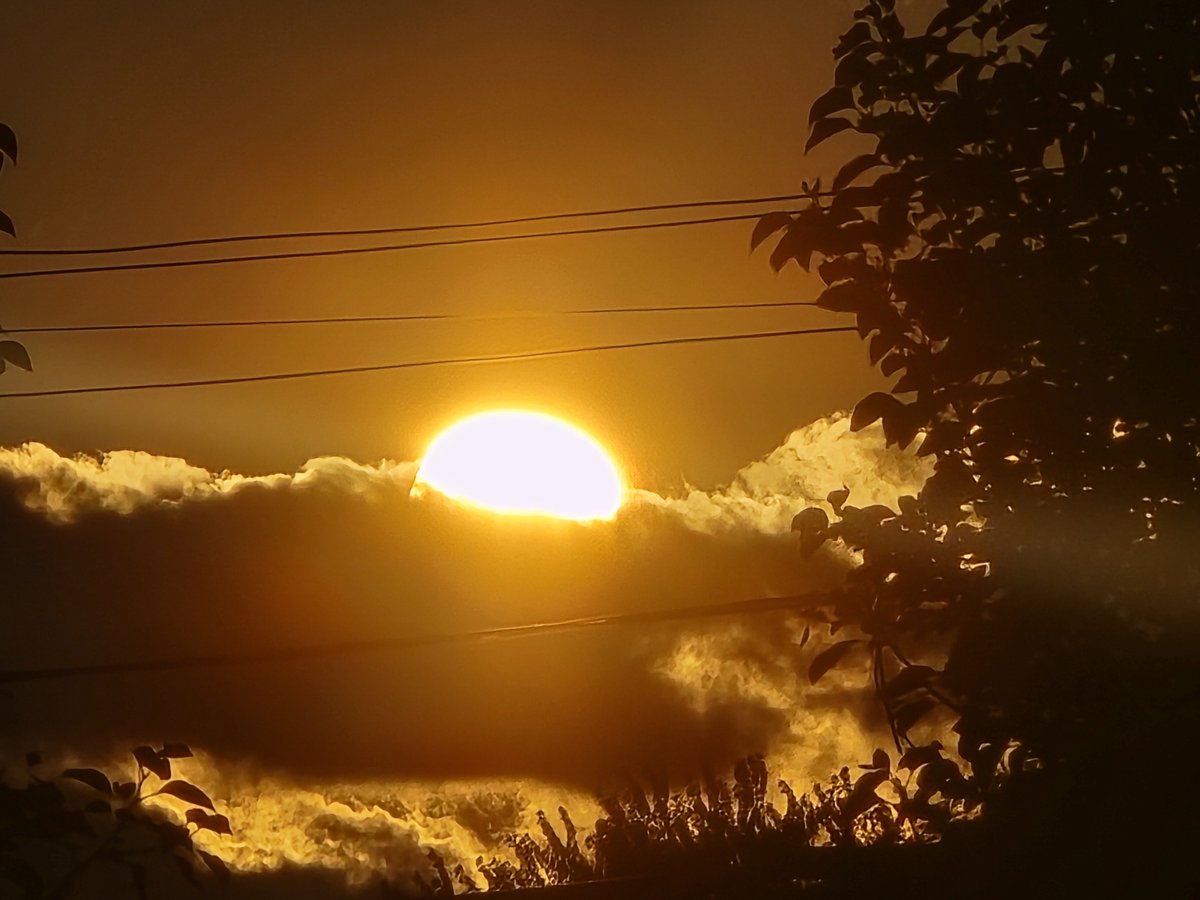 jesseRoss597206's tweet photo. Do any of you remember when the last time you seen an un-sprayed sunset.The urgency at which they spray at sunrise &amp; sunset only brings me to 1 conclusion.They are blocking life giving essentials.Melatonin, vitamin D,seratonin,endorphins &amp; circadian rhythm.We are their experiment https://t.co/Yfh3zhWWhh
