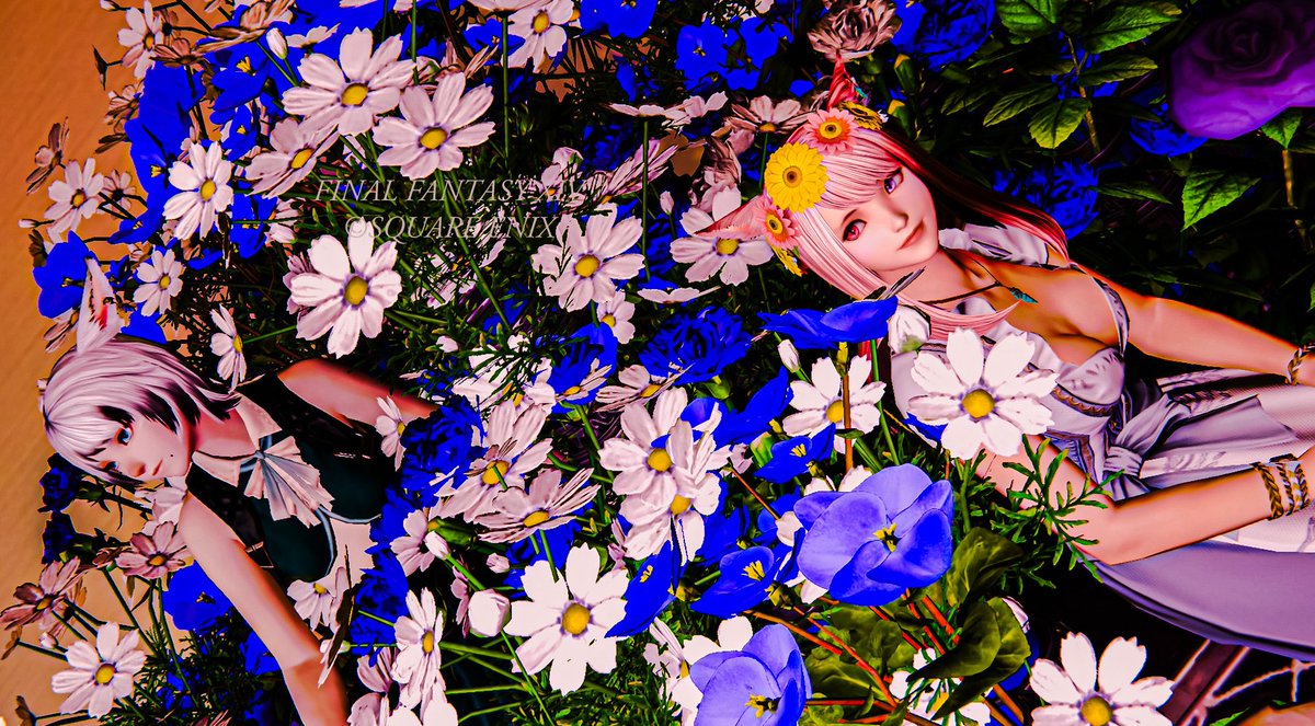 Re_r__'s tweet photo. #NapTime_Zzz #FF14SS 
🩵🤍 https://t.co/bwoYWS9WWu