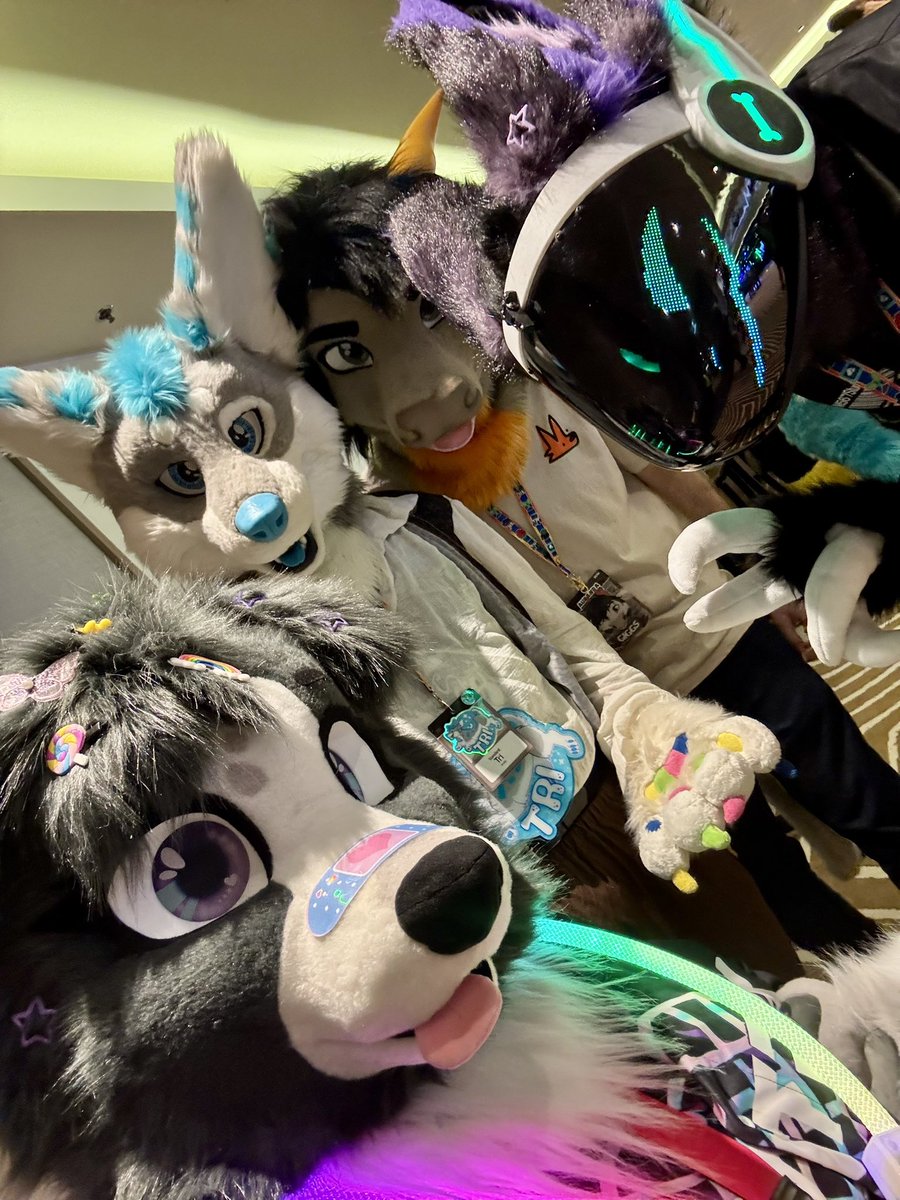 ZeePurpleFox's tweet photo. ✌🏼 ✨
@Dat_Corgi @Giggs_01 @wraiiven 

#aurawra #aurawra2026 #fursuitfriday https://t.co/QdGtASEUSY