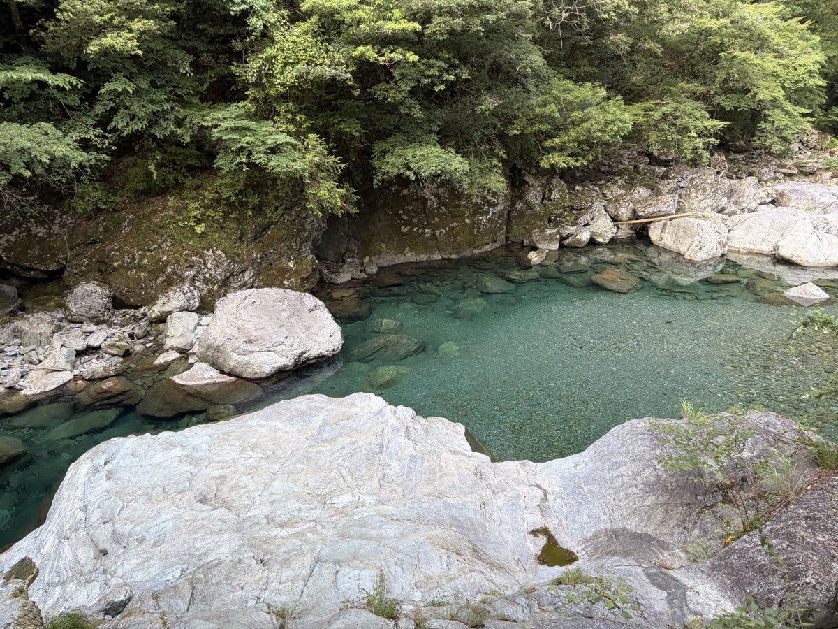 nisya_npm's tweet photo. 昨日はお休みだったので高知の川サウナへ！
自然を満喫できたのはいいんですが、車のエンジンをかけると同時に寄ってくる虻の数が尋常ではなく...
しばらく車中に立て篭もりました https://t.co/eG2Kj7bwmC