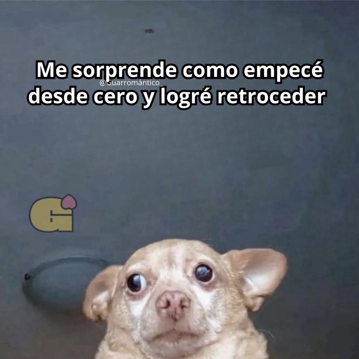 Guarromantico_'s tweet photo. Me sorprende. https://t.co/2cDASWpsd6