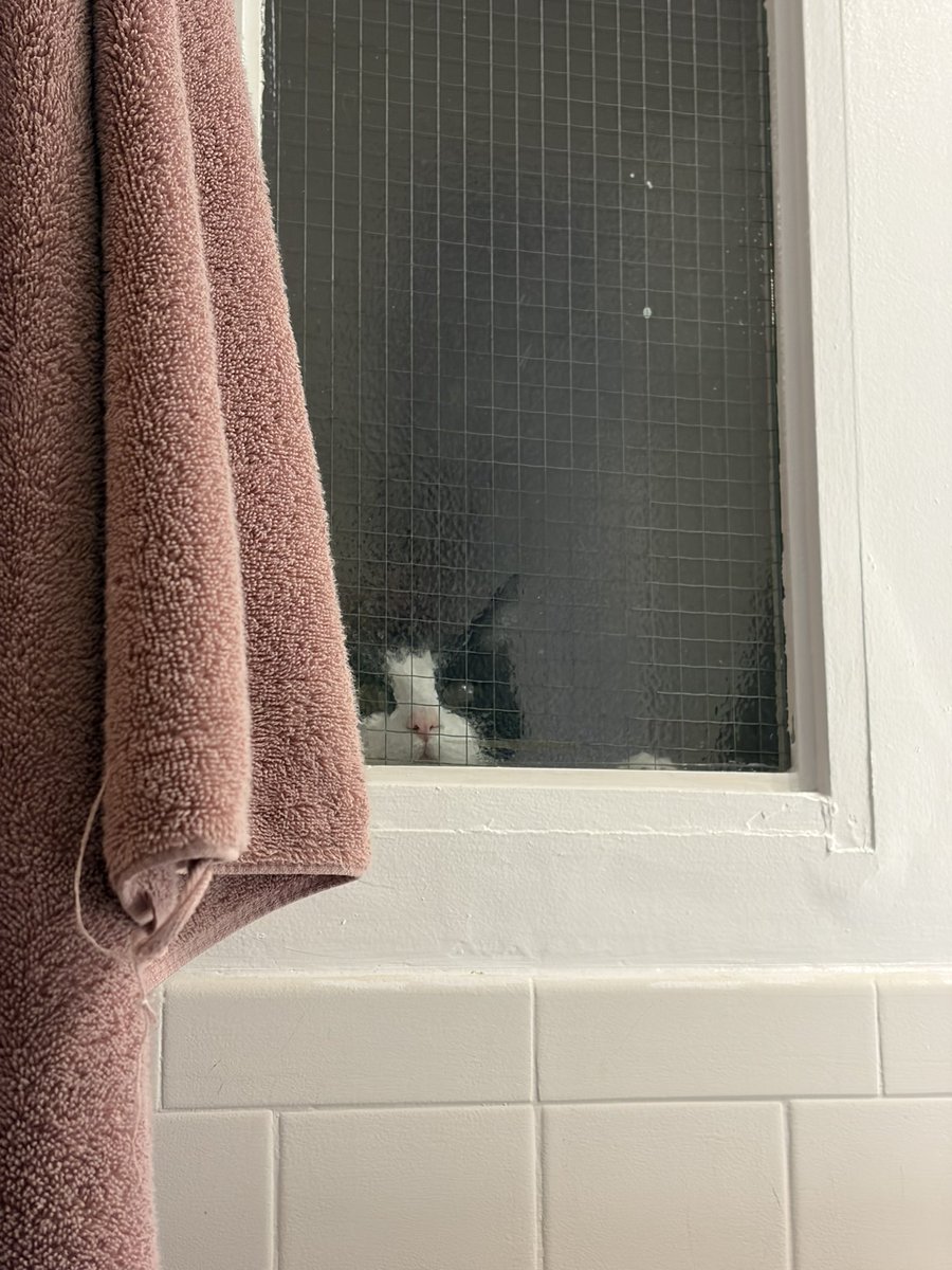 ginasfsydnee's tweet photo. i really need to do something about the window in my bathroom https://t.co/ZpBA8Zd1B7