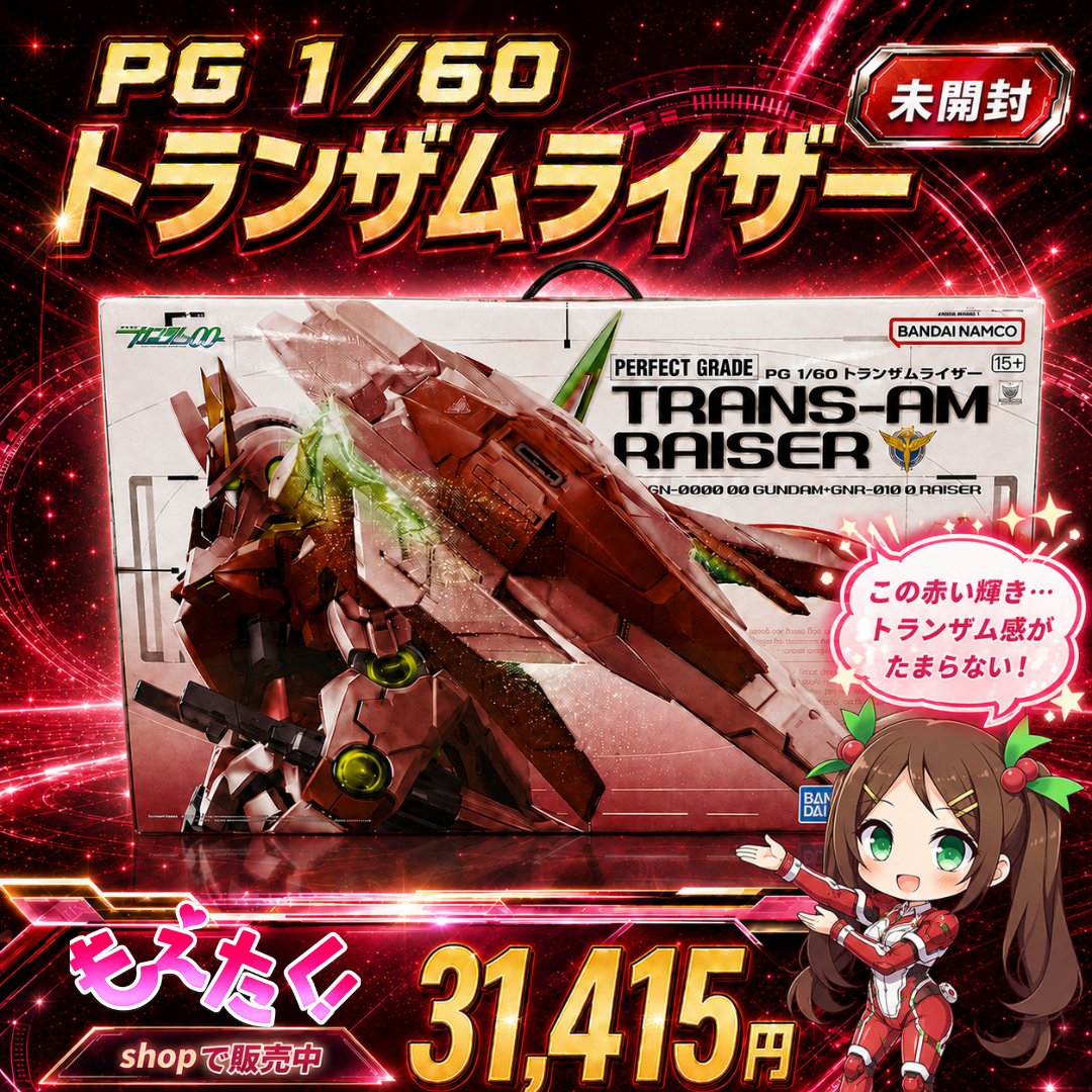 🔥俺たちの……トランザムだ！！🔥 【未開封 PG 1/60 トランザムライザー