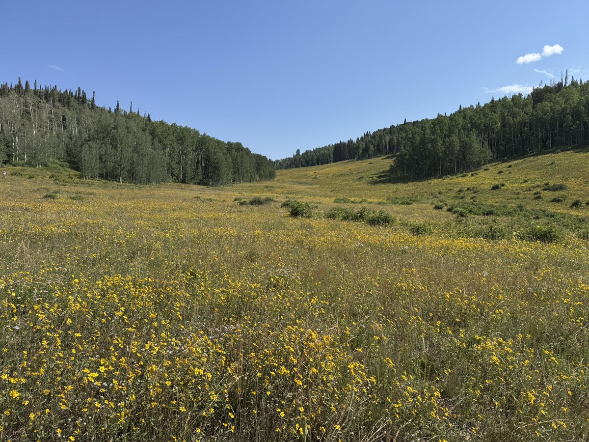 tiestvangool's tweet photo. @8ntmuch Aspen Backcountry 50k on Saturday! https://t.co/FWQAVC3wFr