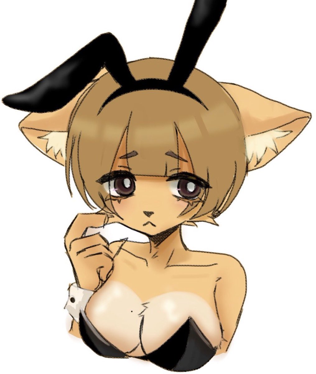 funuke_illust's tweet photo. バニーの日👯（再掲） https://t.co/mmOCCrJBIk