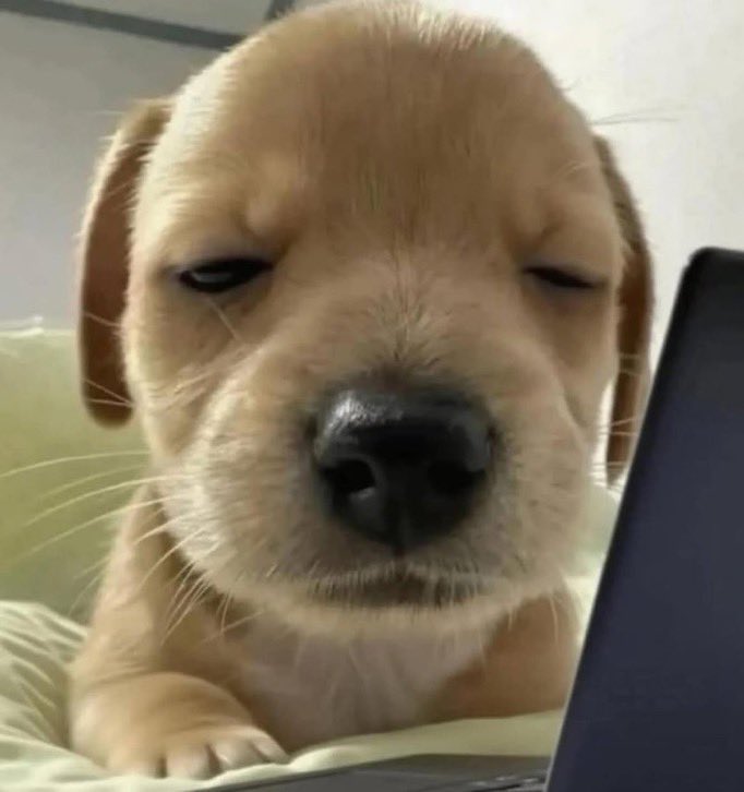 perrylogia's tweet photo. postei uma foto e o menino que eu queria que curtisse não curtiu (meu namorado https://t.co/9oZA9fqAxa