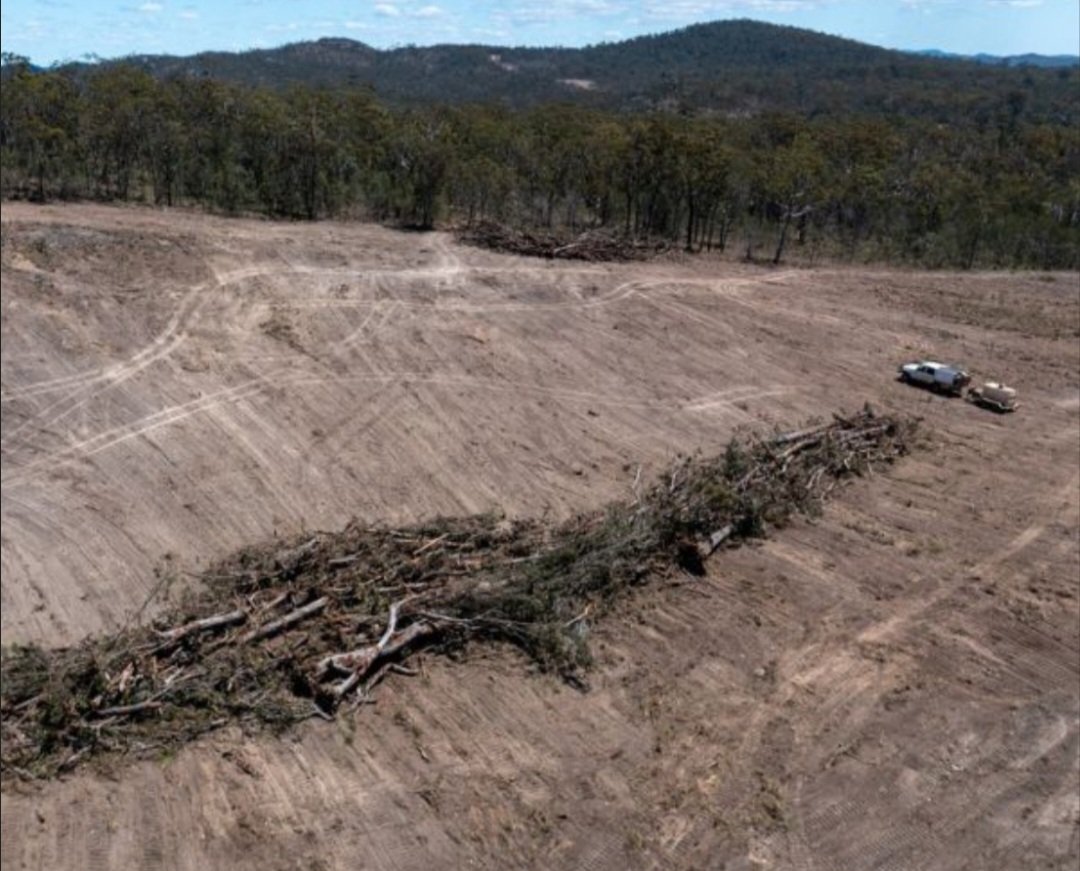 Cee_Cee_'s tweet photo. The NSW govt has published its latest annual data on #landclearing. Despite their reckless renewables spreading unchecked across the State, destroying VAST tracts of forest, wildlife habitat & productive land to construct uncosted, imported, unsafe, non-recyclable, visual polluting wind & solar projects that overwhelmingly burden rural communities, industrialise our landscapes, become future landfill & are drive energy poverty, it beggars belief that they state "The results highlight the ongoing need to conserve and restore native vegetation" & "strengthening biodiversity laws, expanding conservation programs and supporting PRIVATE land conservation". Another stunning example of the hypocrisy of this scam renewable industry.
@ChrisMinnsMP