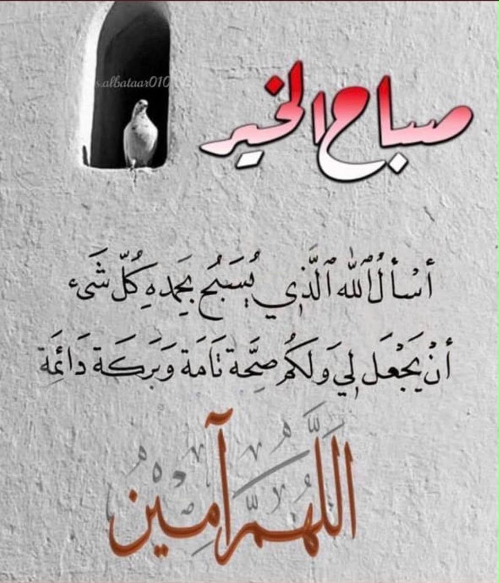 7tQxOgWoCQkuMAt's tweet photo. https://t.co/rv3FwKbwNr