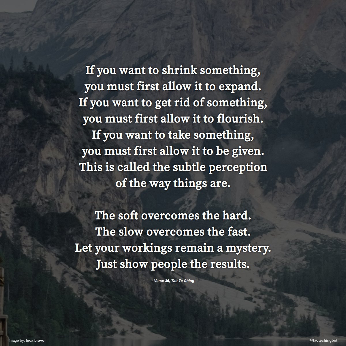 taotechingbot's tweet photo. Verse 36 of The Tao Te Ching. #TaoTeChing #Laozi #Tao #LaoTzu #Taoism #BookOfTheWay https://t.co/KGAN1ZIRbo