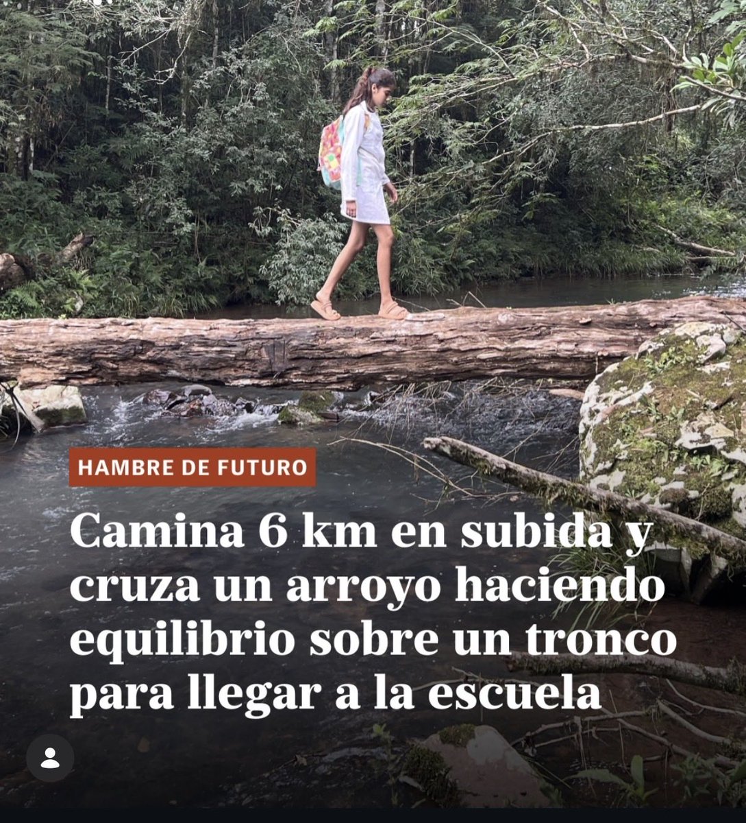 Coya_Orgullosa's tweet photo. Mientras le pagamos la universidad a la clase media y alta de Centroamérica y LATAM en Argentina pasa esto 👇.
El nivel de los politicos corruptos  es decadente, mediocre y de tanta falta de inteligencia y auto estima que la verdad dan asco. 
Que indignada estoy. https://t.co/LNTheCLaun