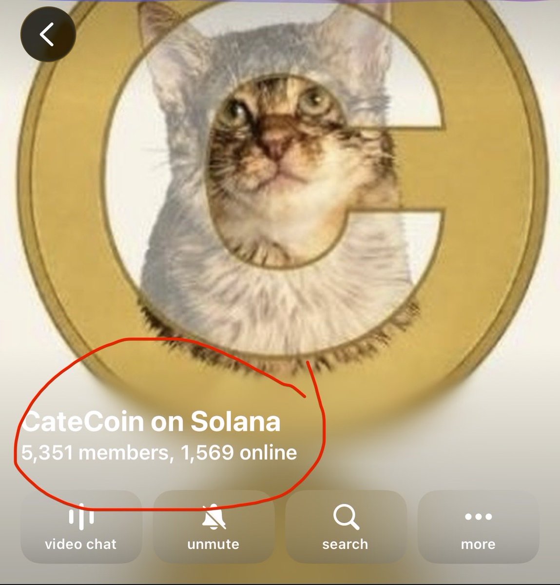 webaim_'s tweet photo. Life as a holder of $CATE 😹 https://t.co/kknhhQ1vjM