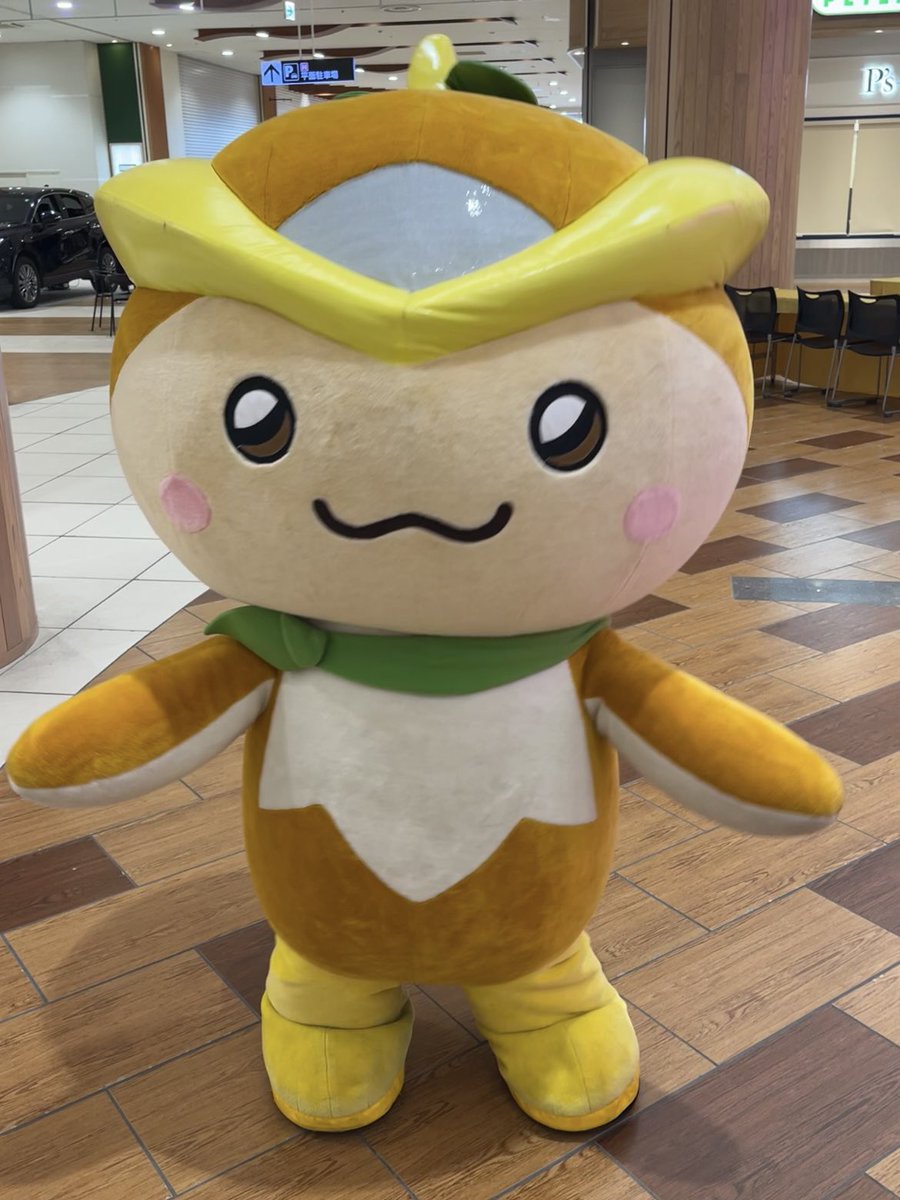 tokoron1056's tweet photo. おっつーん！☂️

所沢市でｄ払いを使うと、ポインコとコラボしたステッカーがもらえるキャンペーンが始まるよーん！🐣

【対象店舗】（どんどん増えていく予定！）
🔽🔽🔽 https://t.co/pmnrSfdkpd