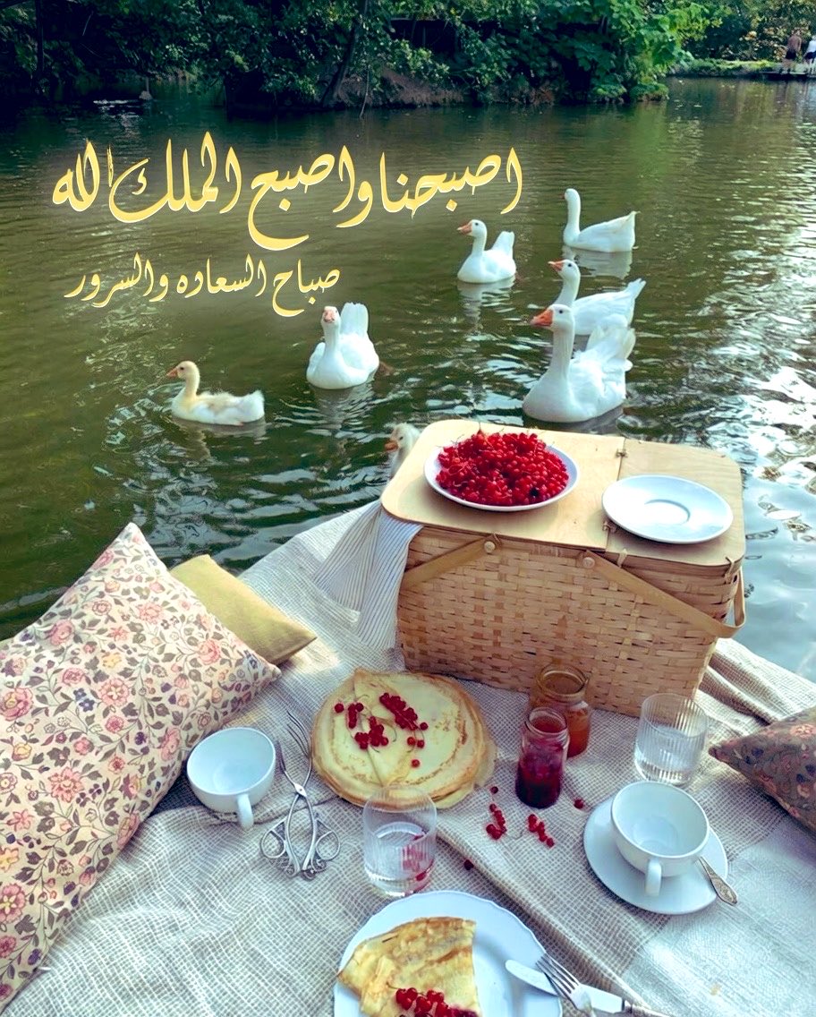 ال̯͡س̯͡ن̯͡اف̯͡ي̯͡ツ(omer) tweet media