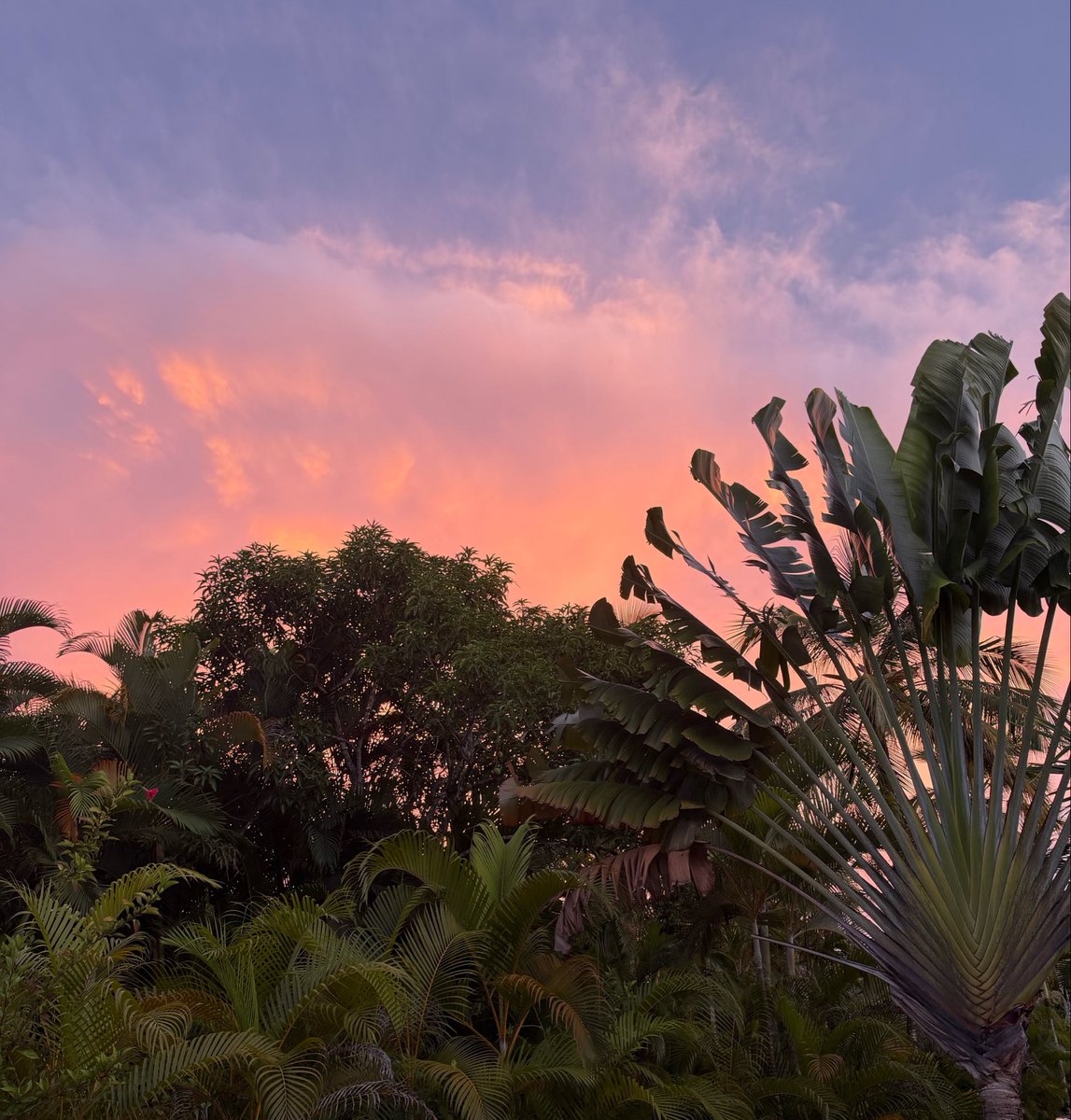 AltSNEAKO's tweet photo. Haiti sunset https://t.co/9MVnxlUPr6
