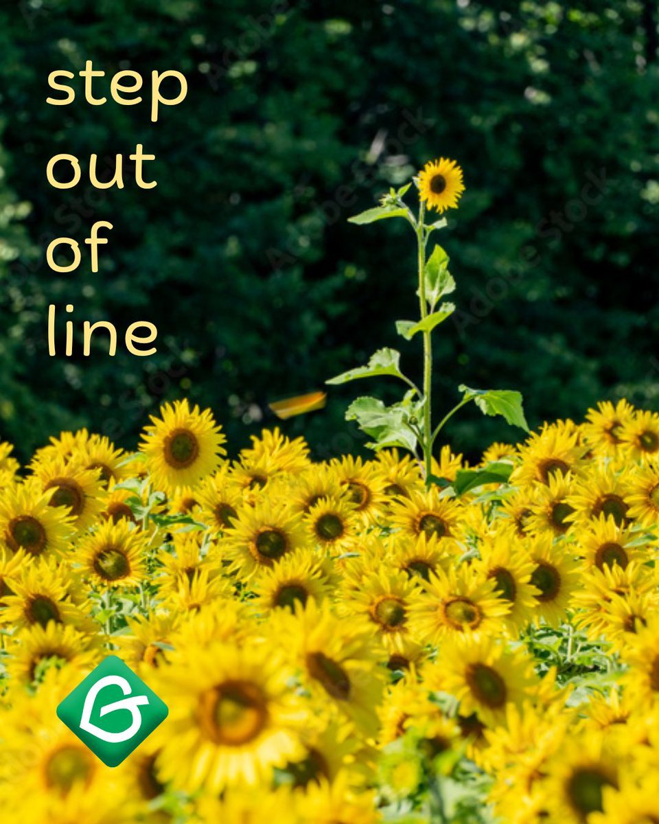 cagreens1's tweet photo. Change does not come about through capitulation and surrender.
Power concedes nothing without a demand.
#DemandMore
#GoGreen https://t.co/KkBckF5laK