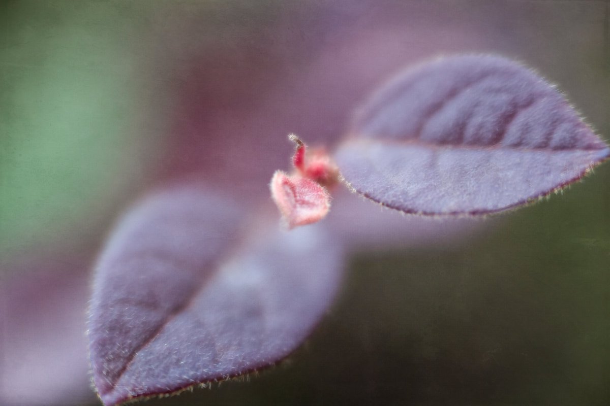 Tina Quillen Photography tweet media