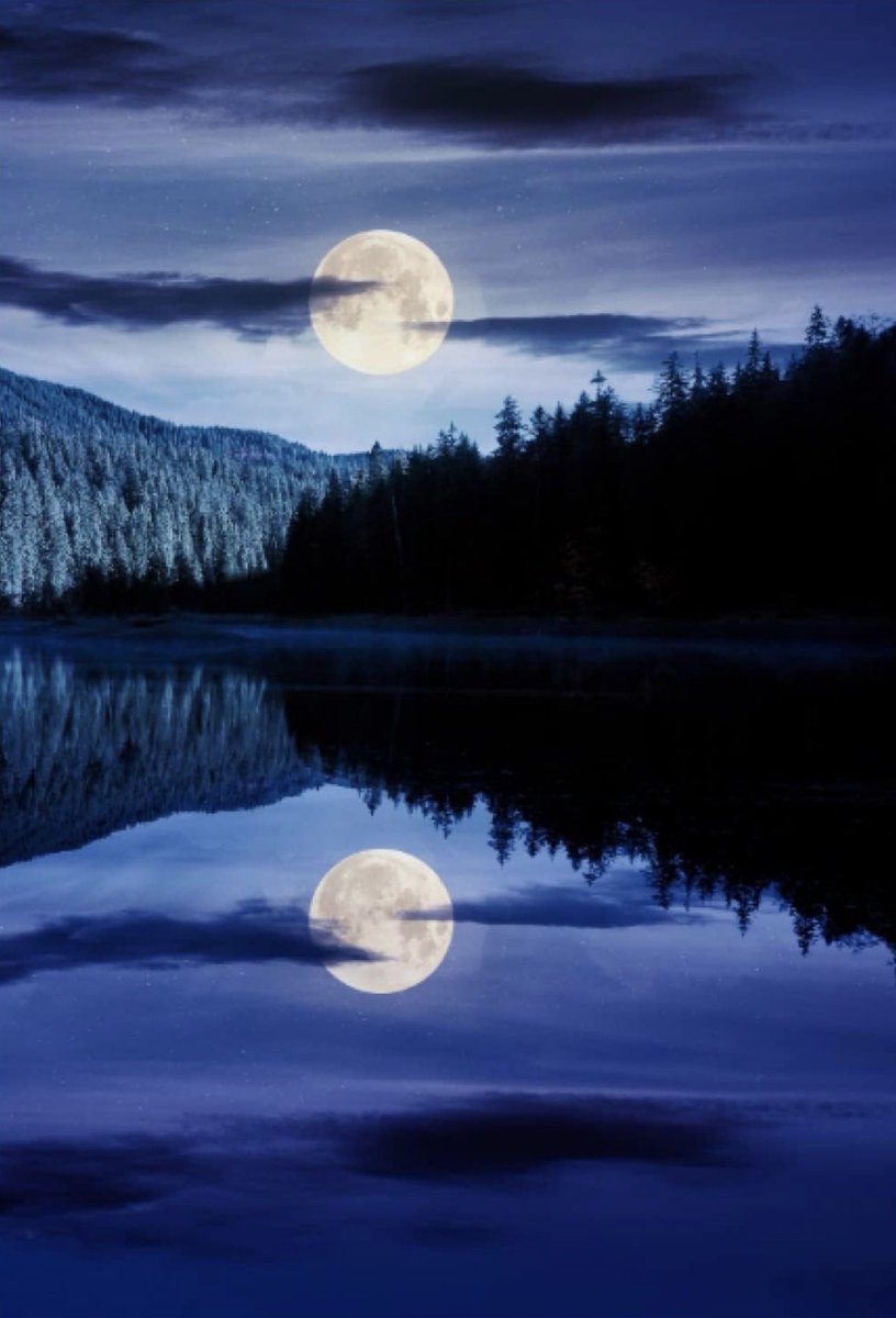 gypsyOTR's tweet photo. “‘For I will satisfy the weary soul, and every languishing soul I will replenish.’ At this I awoke and looked, and my sleep was pleasant to me.”
~Jeremiah 31:25-26🕊 https://t.co/kbn5s1OPud