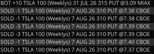 FullSelfFunding's tweet photo. Rolled these puts to 8/7/26, for $4.30 per contract in additional premium. https://t.co/BQsE8ZPJWf