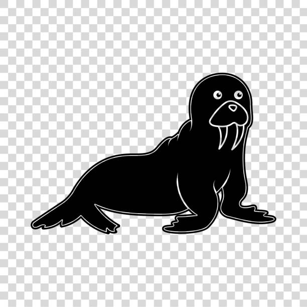 salemC0philliID's tweet photo. 犬海散策🌊🐶 https://t.co/D3k8p6H9eE