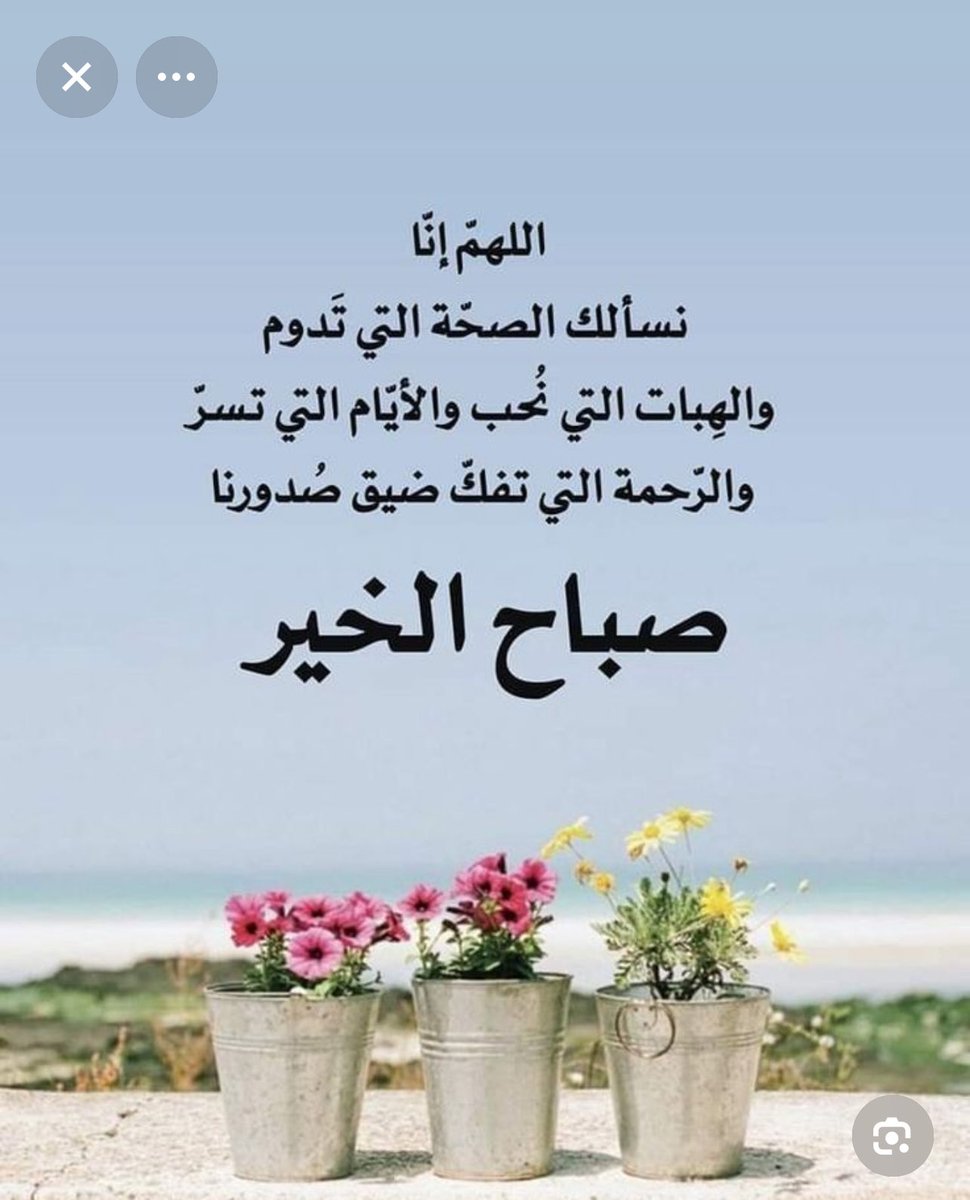 AbdulkaremKHA's tweet photo. صباح الخير🌴 https://t.co/kFKCrkOOW9