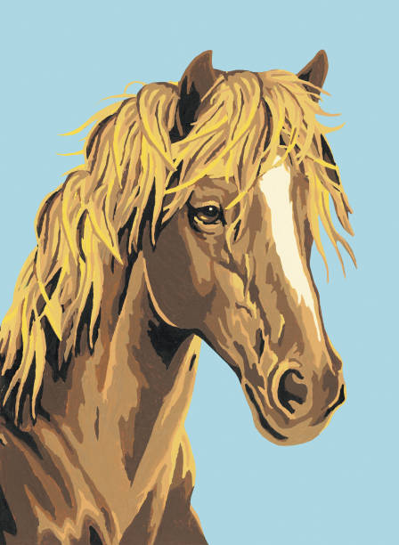 margarMEfletcGu's tweet photo. 海風に吹かれてわんちゃんも気持ちよさそう🌬️🐕 https://t.co/iKJUkTcOd3