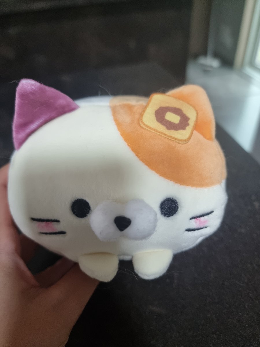 MT_KD_KK's tweet photo. おぐらとーすとにゃんにすればよかったなって
昨日の朝からずっと思ってた🥺 https://t.co/9yYerJiXNy