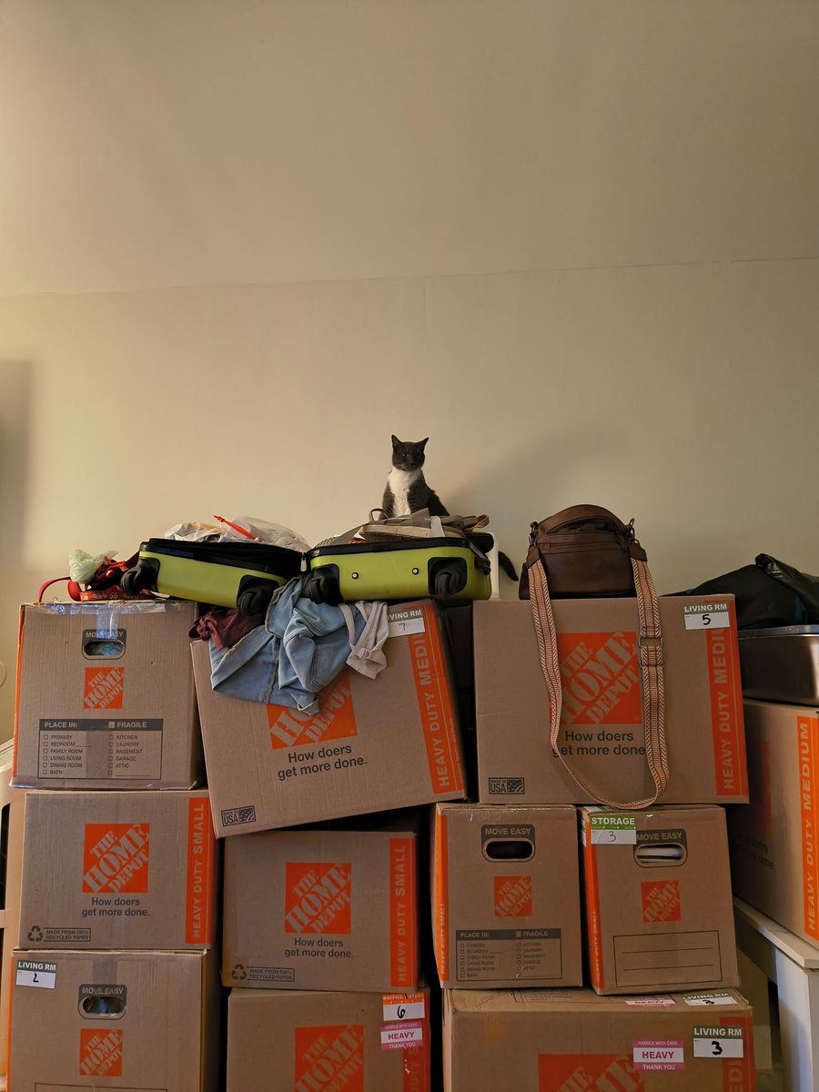 MeatloafTheHam's tweet photo. All moved in and surveying my kingdom https://t.co/t2IO6YtUHG