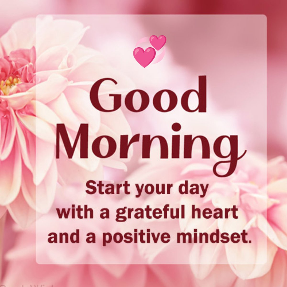KachruRachna's tweet photo. Good morning dearest💖🦋
Be happy healthy &amp; blessed always🤗🙌🏼

SanjayR Blamed SSR AndFamily

#JusticeForSushantSinghRajput🔱
#ArrestRheaChakraborty https://t.co/TIogNvuFRN