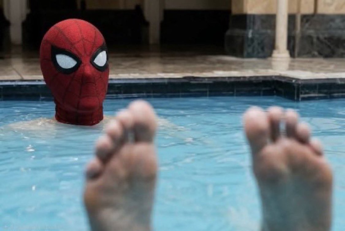 spiderholland tweet picture