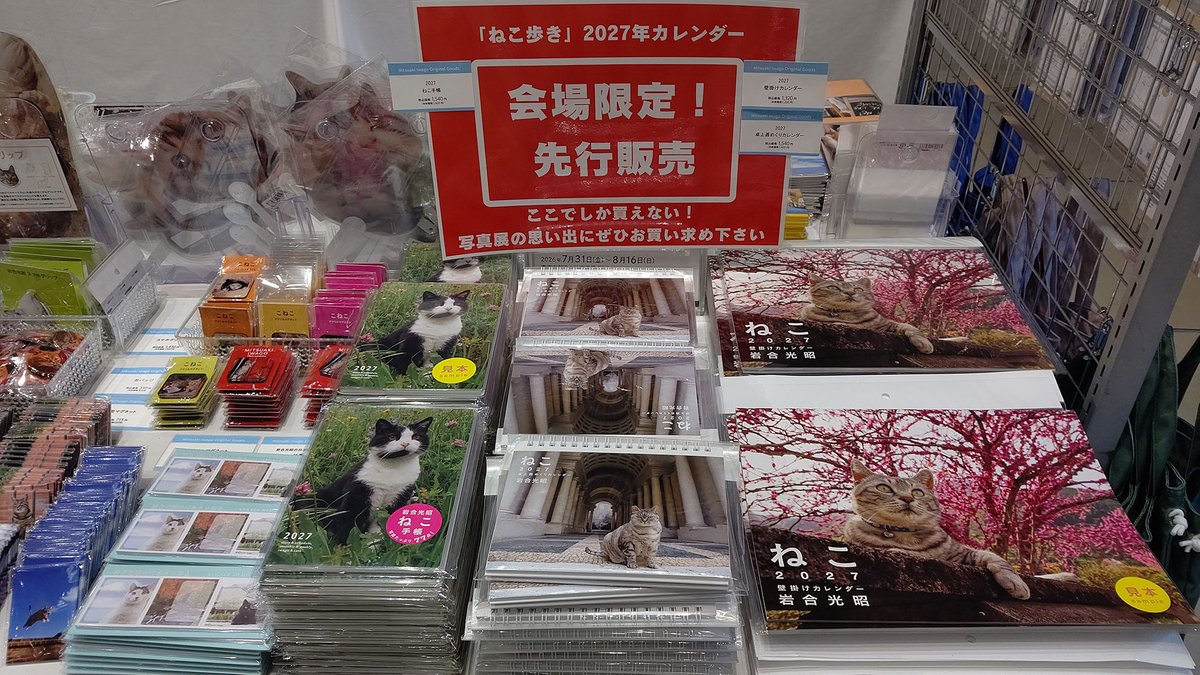 nihonnekoaruki's tweet photo. 写真展「岩合光昭の日本ねこ歩き」が愛知県東海市にある東海市創造の杜交流館にて開催中！！
本展は国内各地それぞれの風土を背景に、ネコとヒトの暮らしぶりを紹介します。お気に入りの1枚を探しに来てください🐈
開催中～8/16迄
https://t.co/6tDRHmk0GZ https://t.co/ayvWfr3JKT