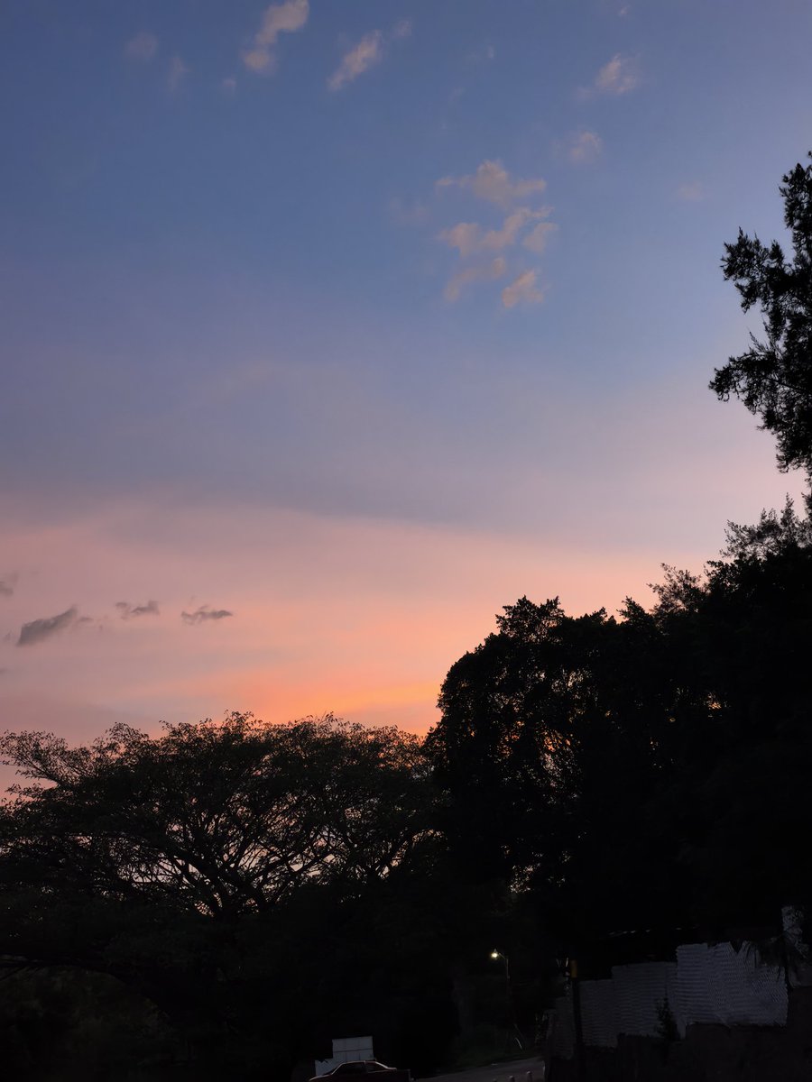 daafnezz's tweet photo. Dice mi mamá que el cielo esta rosa porque harry styles esta en México https://t.co/CLD4Fo7Wta