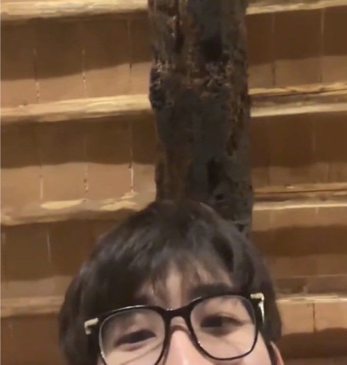 pinksquixote's tweet photo. peekawoo and peekagyu 🙈 https://t.co/lfDJK8rpgZ