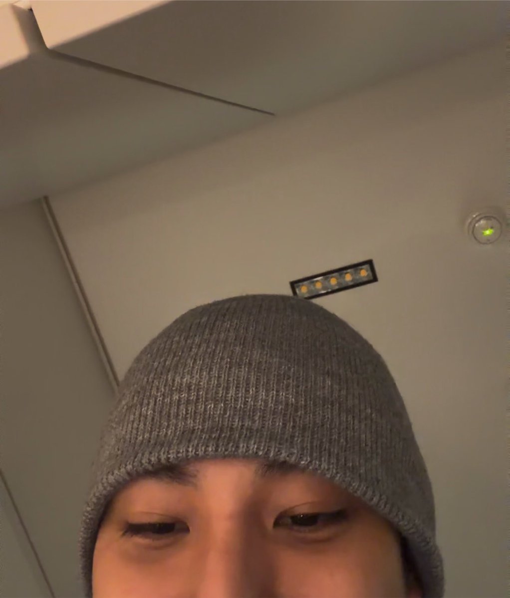 pinksquixote's tweet photo. peekawoo and peekagyu 🙈 https://t.co/lfDJK8rpgZ