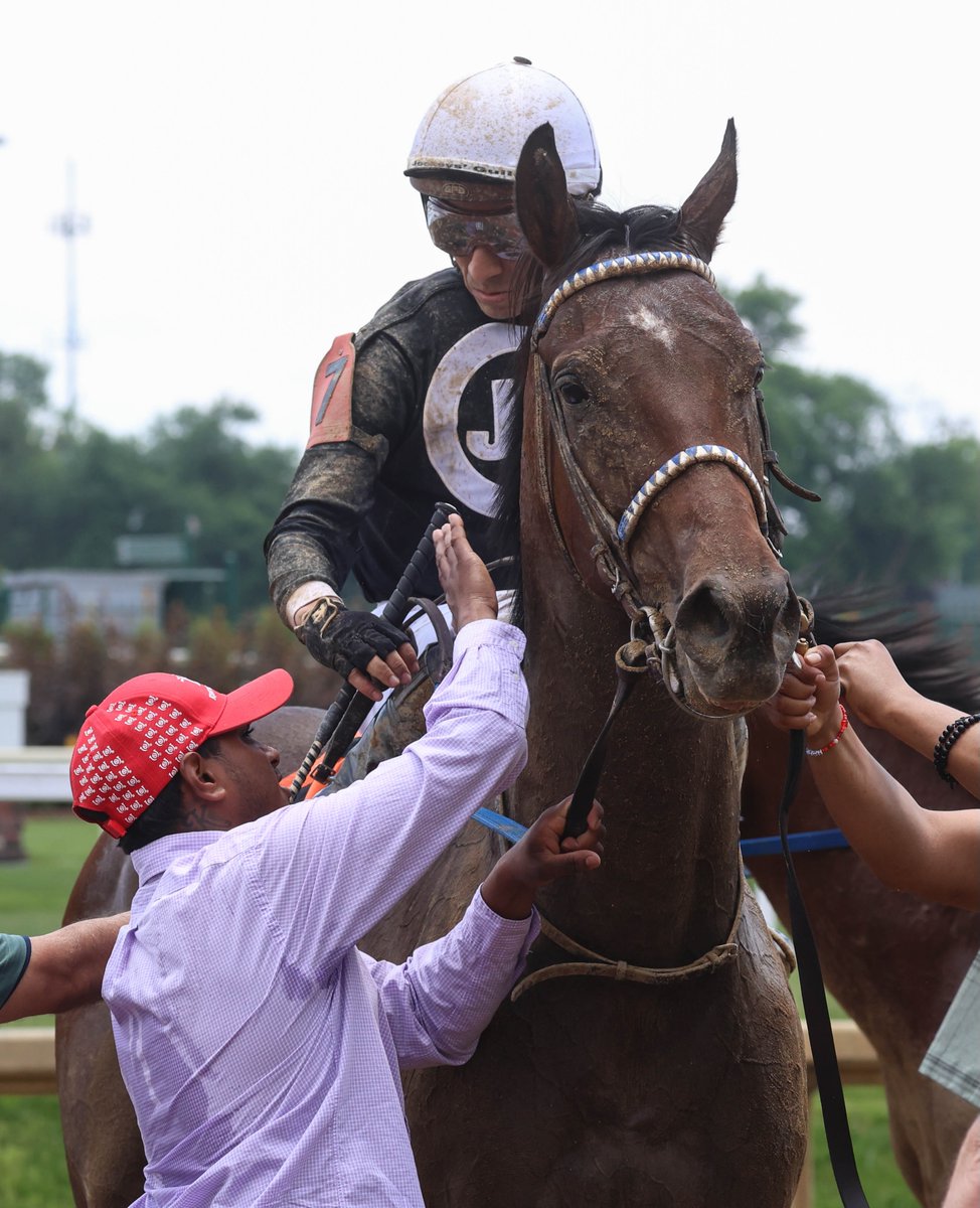morninglineio's tweet photo. Every racehorse has a story, and every journey starts long before the starting gate. From morning training to race day, it's the dedication, care, and teamwork behind the scenes that make it possible. https://t.co/brCZdHGDKU