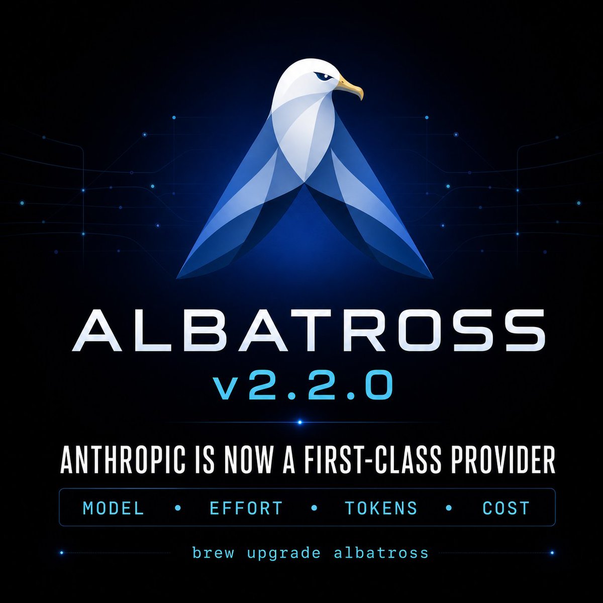 AlbatrossCoding tweet picture