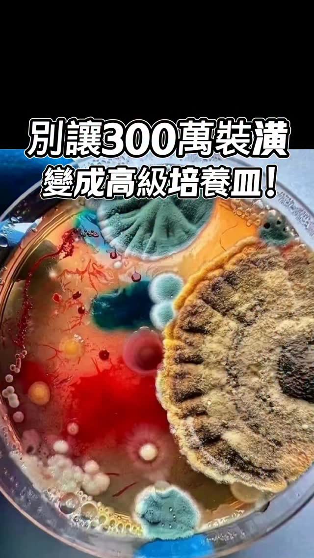 gabo6186's tweet photo. https://t.co/TG7isQJhS9