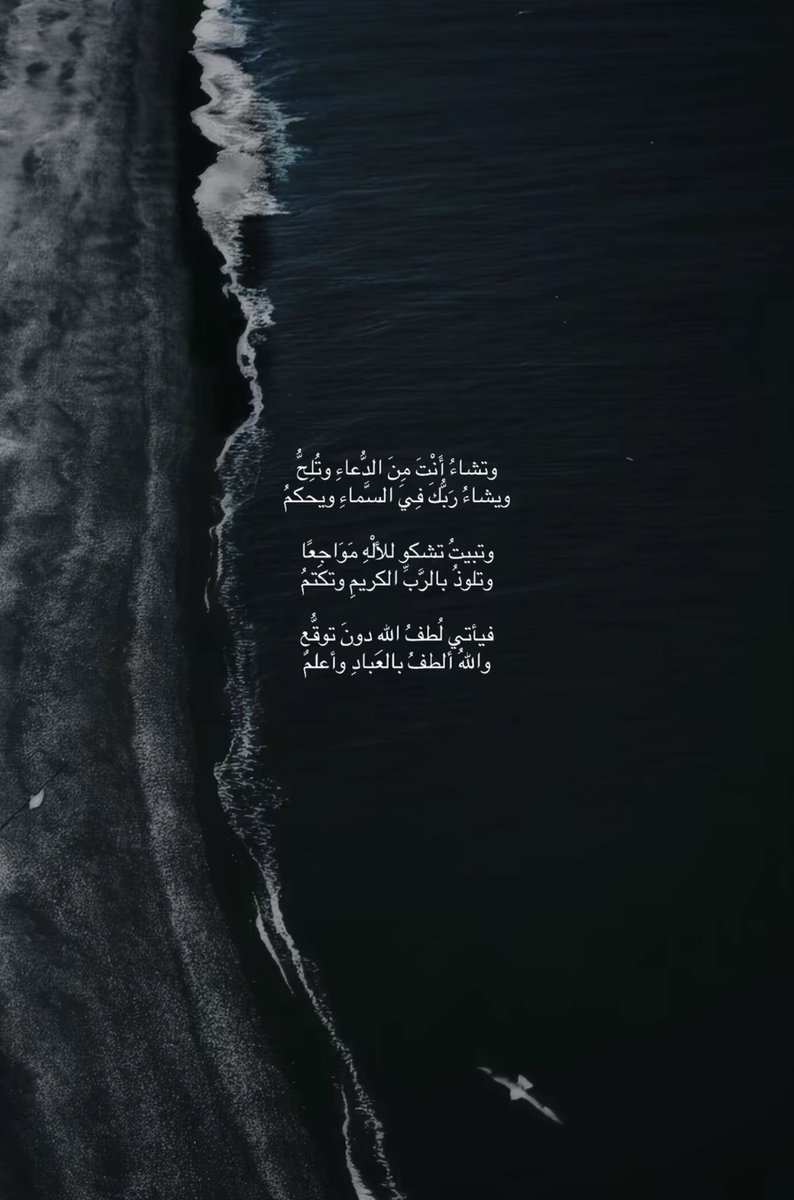 AmaalAHT's tweet photo. ✨🤍 https://t.co/aZWqdkNdkJ