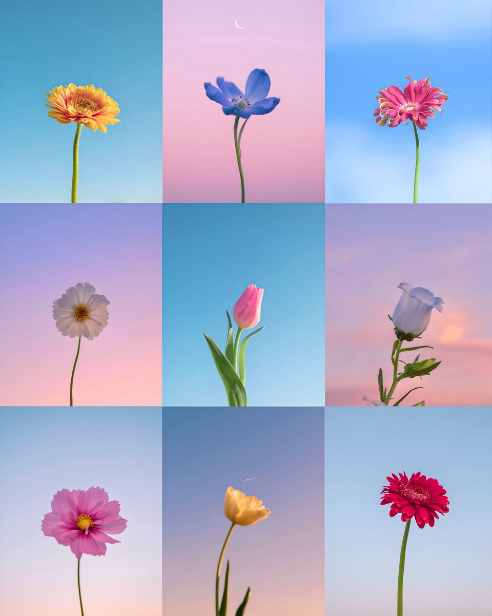 aestheticspost_'s tweet photo. https://t.co/rDDRM6vjxq