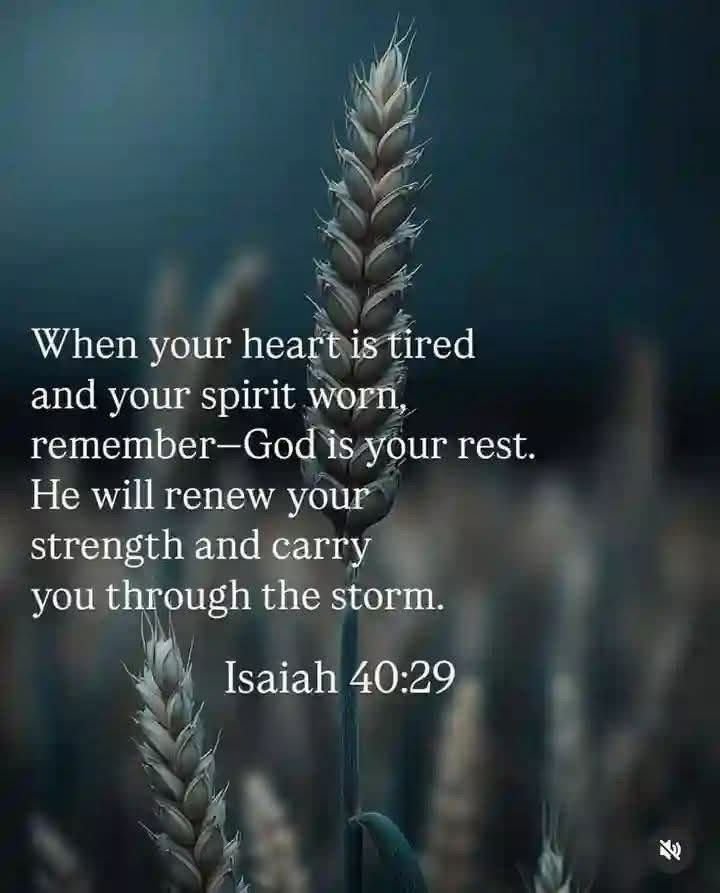 BlueGreenTeam8's tweet photo. Prayers for everyone 🙏 
Don't give up 💗
No matter what https://t.co/0X8KTLpjhF